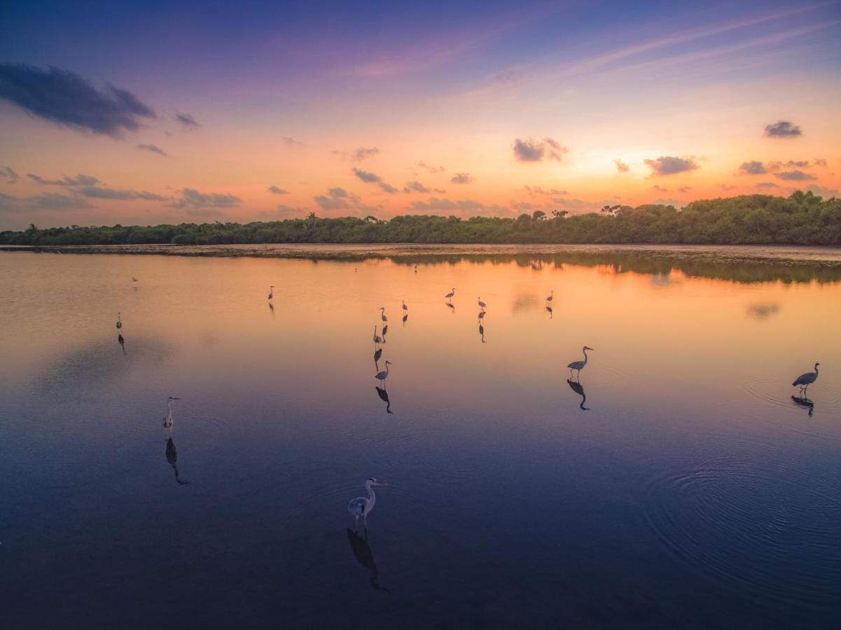 Fiyala Homestay Addu City Екстер'єр фото
